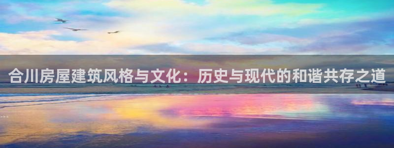 NG体育扑克